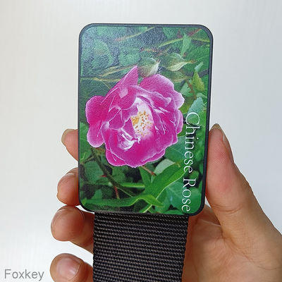 Free Print Belt Adjustable Buckle Plastic With Personalized Image Promotion